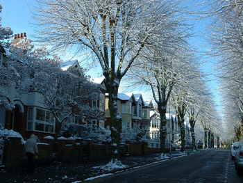 View of bare trees in city against clear sky