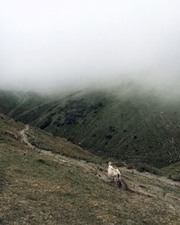 High angle view of mountain landscape