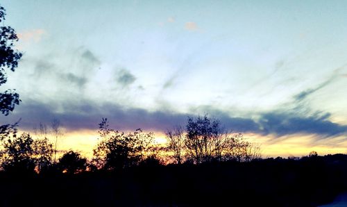 Silhouette trees against sky during sunset