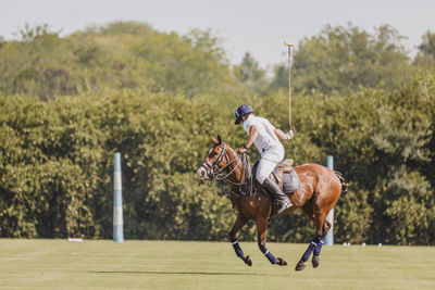 Scenic view of man riding horse on field