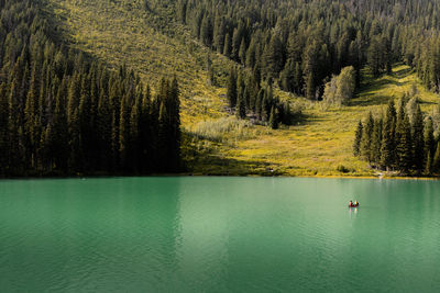 Scenic view of lake in forest