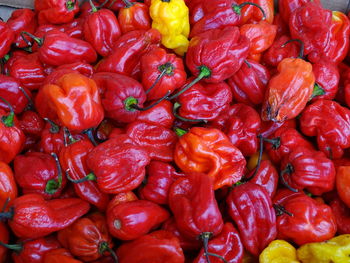 Full frame shot of red bell peppers at market