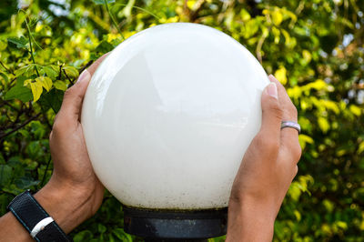 Cropped hands of man holding lamp post against plants