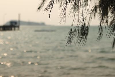 Close-up of sea against sky during sunset