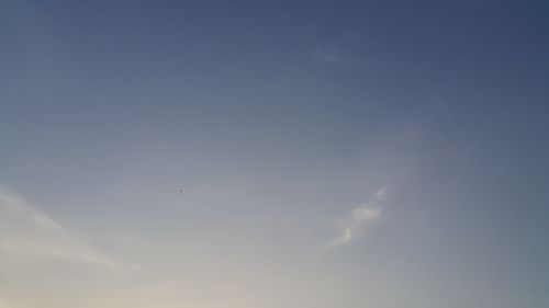 Low angle view of bird flying in sky