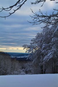 Bare trees on snow covered land against sky during sunset