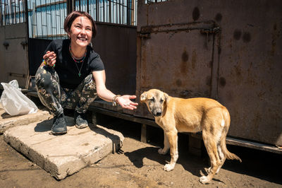 Dog at the shelter. animal shelter volunteer takes care of dogs. 