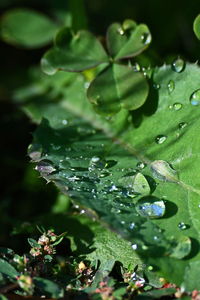water