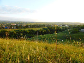 Scenic view of field against sky