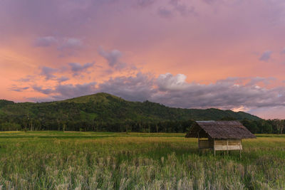 Scenic view of field against sky during sunset