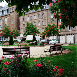 Flowers in front of building
