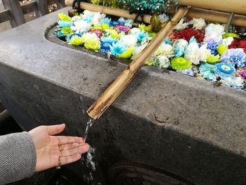 High angle view of hand holding flower petals on floor