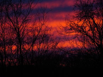 Silhouette trees against dramatic sky during sunset