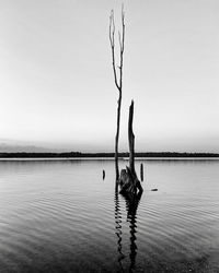 View of birds on lake against sky