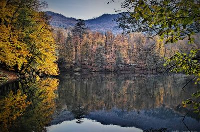 Reflection of trees on lake during autumn