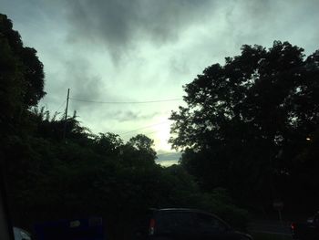 Trees against sky