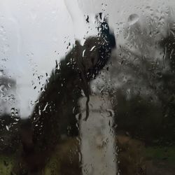 Rain drops on glass window