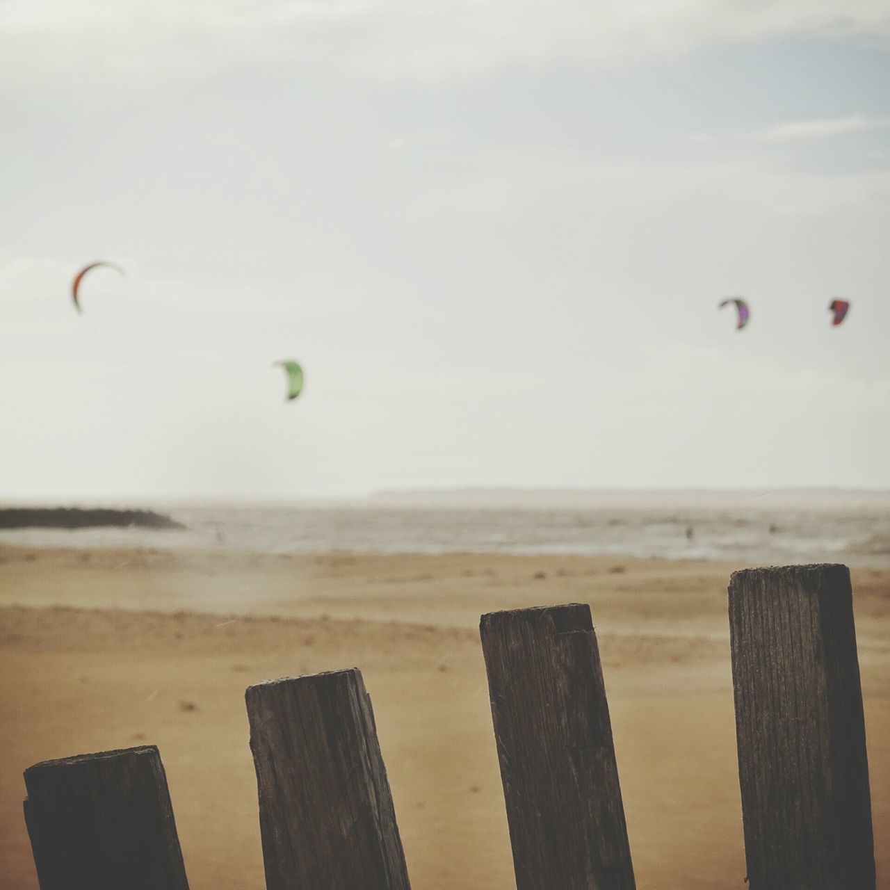 sea, beach, horizon over water, flying, sky, bird, sand, shore, water, mid-air, tranquility, nature, scenics, tranquil scene, beauty in nature, animal themes, seagull, day, outdoors, wildlife