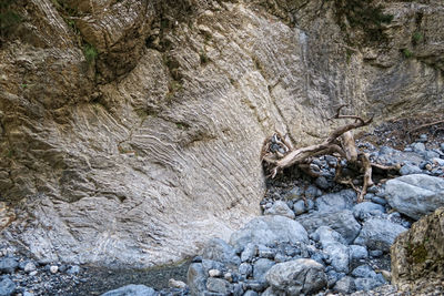 Rock formations in water