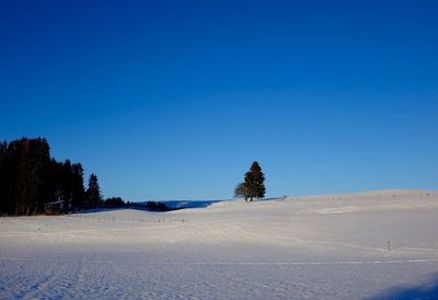 Scenic view of landscape against clear blue sky