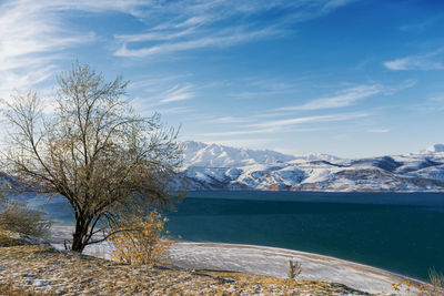 Amazing beautiful winter landscape of charvak reservoir in uzbekistan in winter