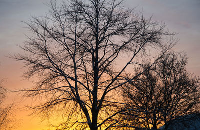 Low angle view of silhouette bare tree against sky at sunset