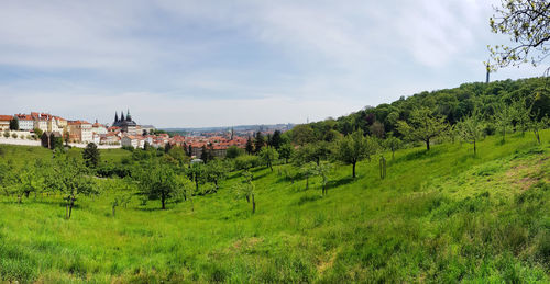 Panoramic shot of trees and buildings against sky