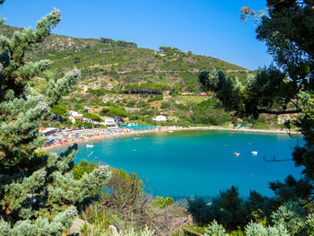 Scenic view of sea and trees against blue sky