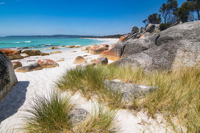 Rock formations at the bay of fires in tasmania