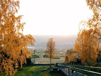 Scenic view of trees against sky during autumn