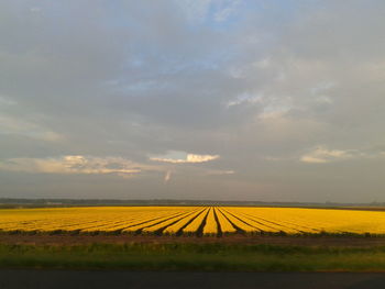 Scenic view of field against cloudy sky