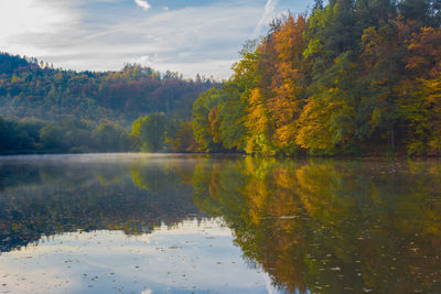 Scenic view of lake in forest during autumn