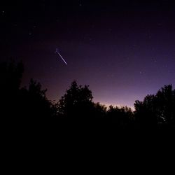 Low angle view of trees against sky at night