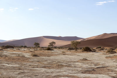 Scenic view of desert against sky