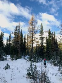 Man on snow in forest against sky