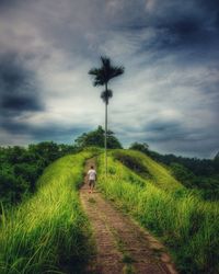 Scenic view of grassy field against cloudy sky