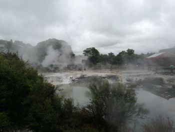 Scenic view of trees and plants against sky