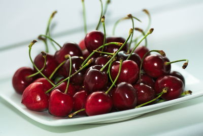 Close-up of cherries in plate