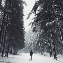Woman on snow covered landscape