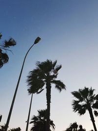 Low angle view of silhouette coconut palm trees against clear sky