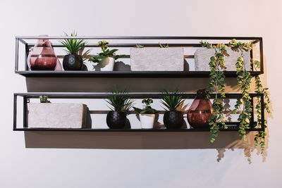 Simple geometric metal shelves with fresh potted plants and glass vases hanging on white wall in navarre, spain