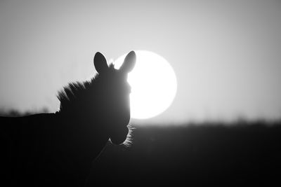 Low angle view of silhouette woman standing against clear sky