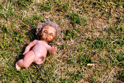 High angle portrait of man lying on field