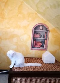 White cat on table against wall