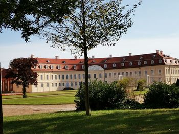 Trees and buildings against sky