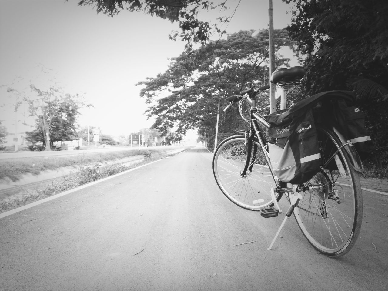 transportation, bicycle, mode of transport, land vehicle, tree, the way forward, road, stationary, parked, clear sky, street, diminishing perspective, parking, vanishing point, outdoors, day, no people, built structure, empty, car