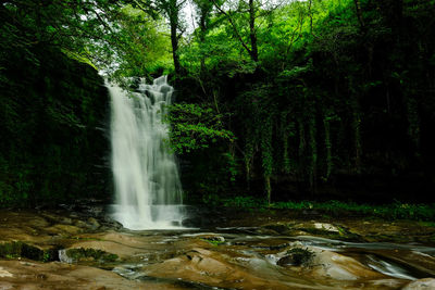 Scenic view of waterfall in forest