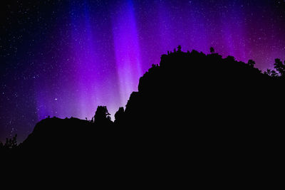 Low angle view of silhouette trees against sky at night