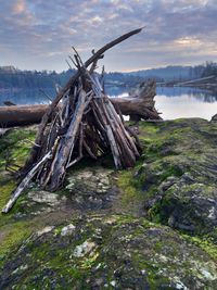 Driftwood on land by lake against sky