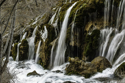 Scenic view of waterfall in forest